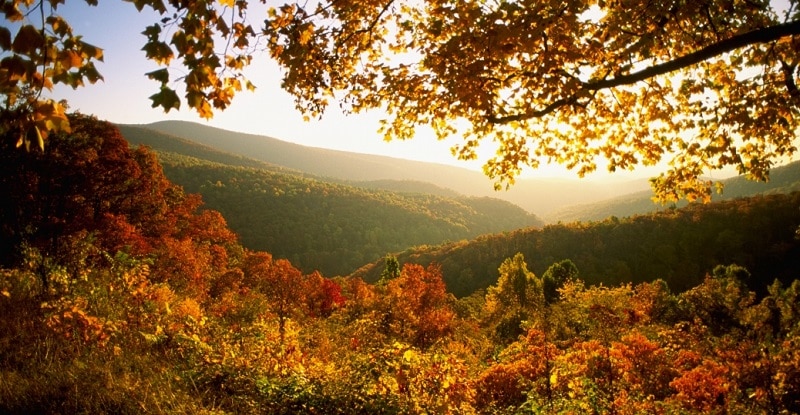 Shenandoah National Park