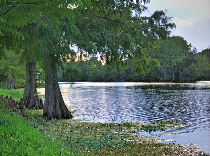 Park in Florida at Orlando