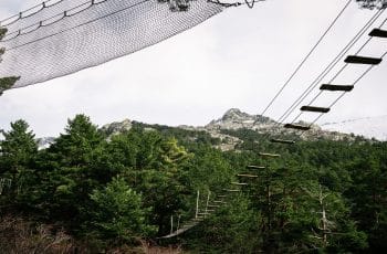 Zip line in woodland