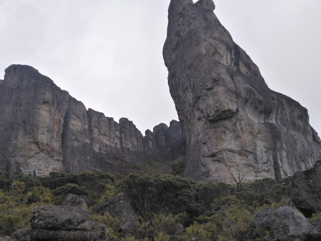 Chirripo National Park