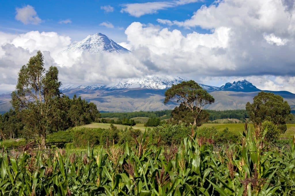 Cotopaxi National Park