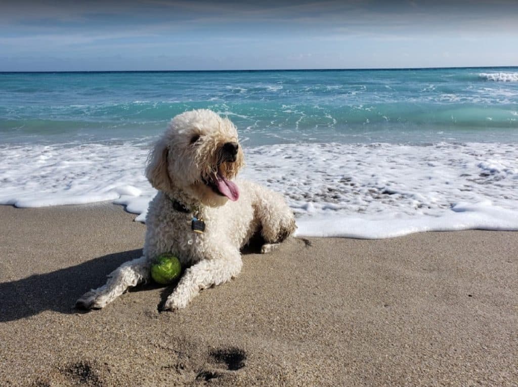 Walton Rocks Beach and Dog Park