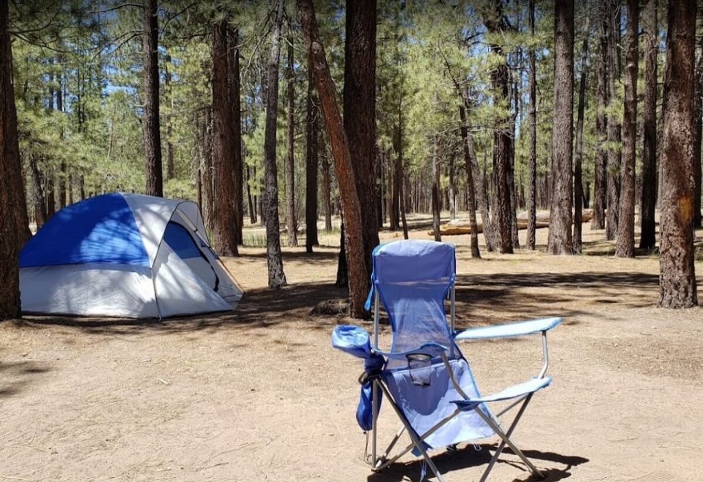 Holcomb Valley Campground