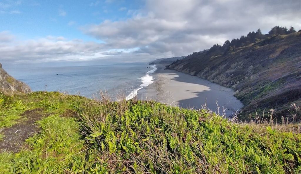 Humboldt Lagoons State Park