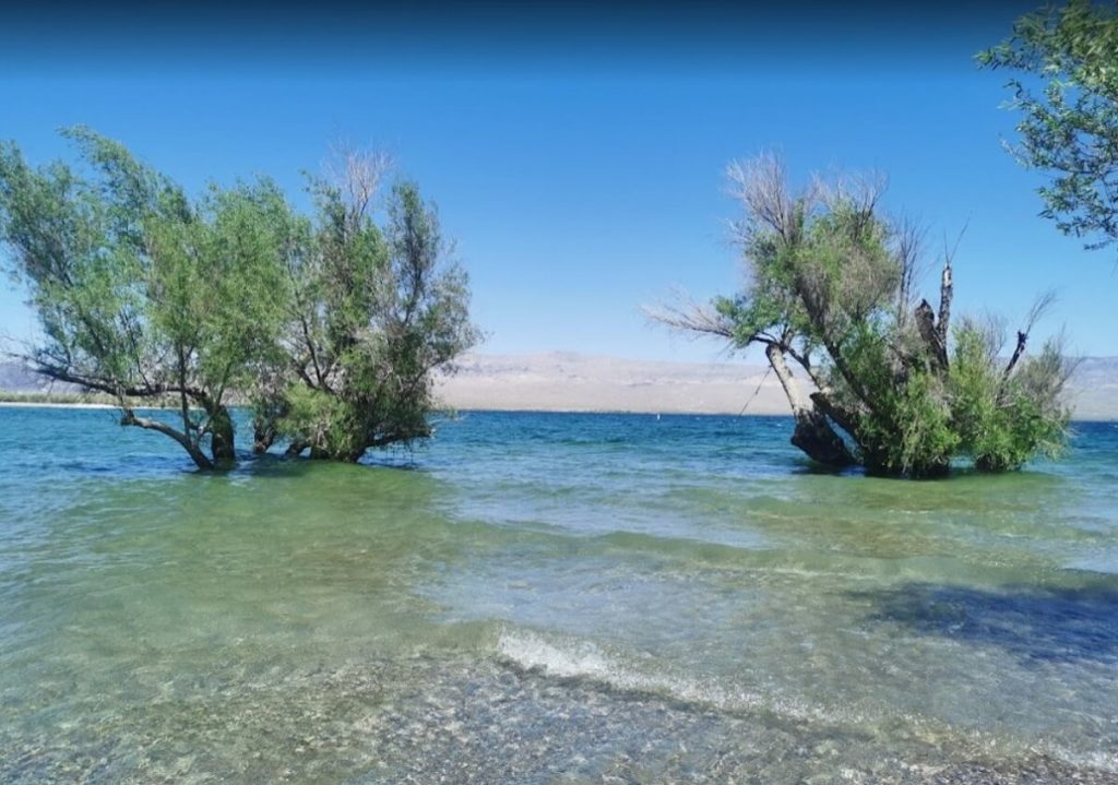 Lake Mohave