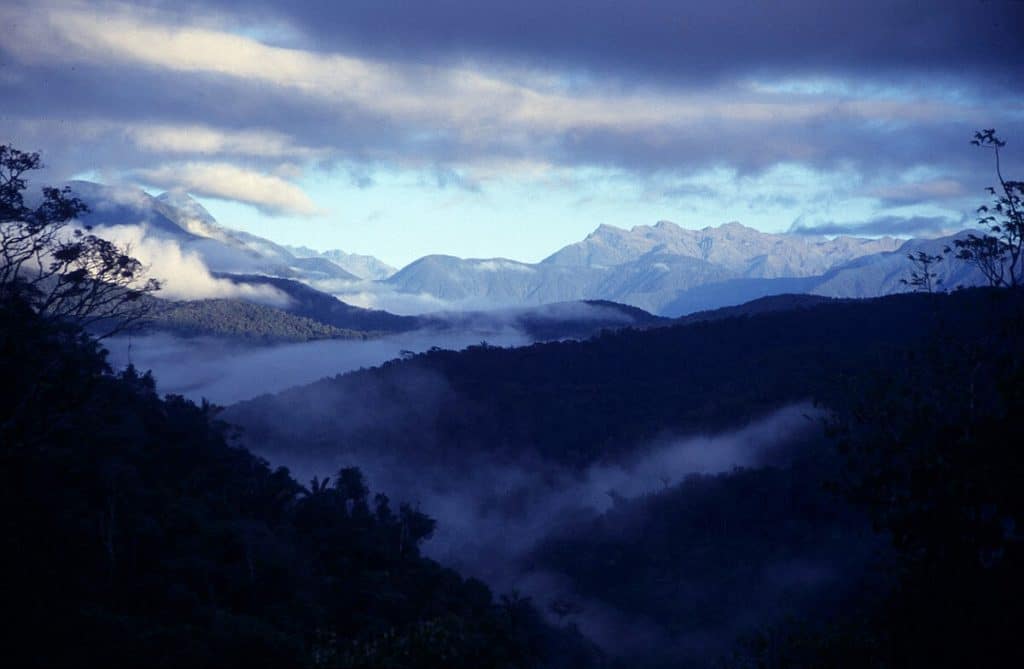 Madidi National Park in Bolivia