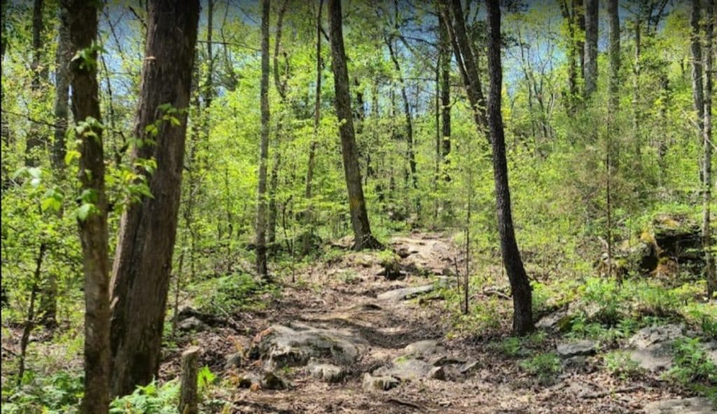 Cahedral Caverns Start Park Hiking Trail