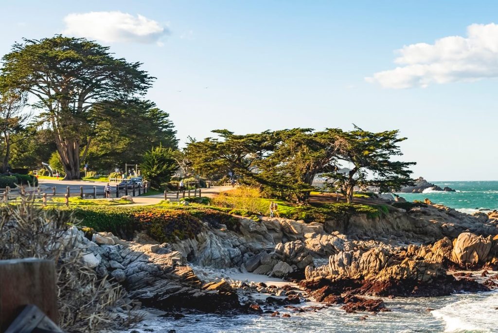 Rocky coastline on Pacific Grove, California