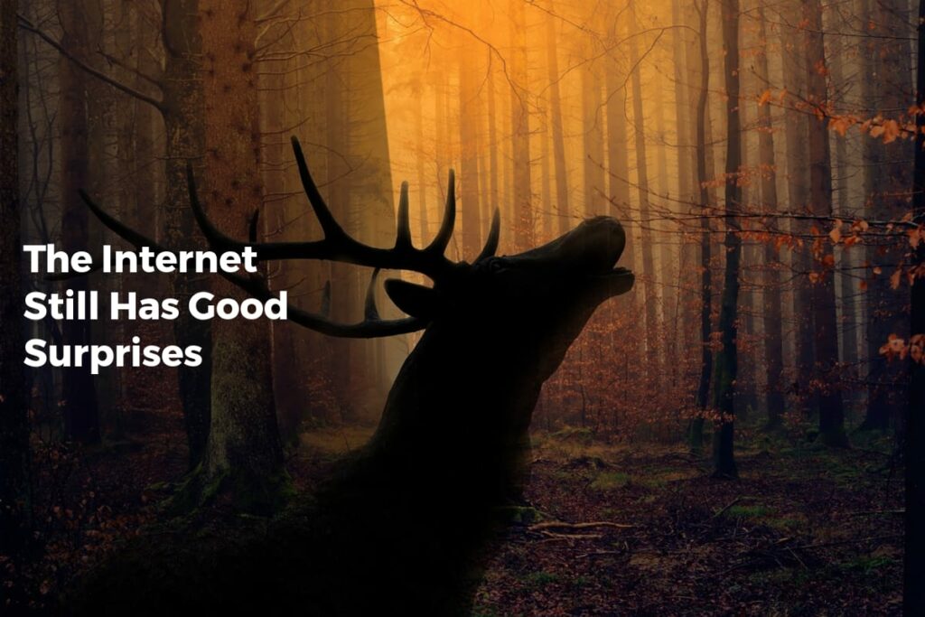 The Internet Still Has Good Surprises - Internet Discoveries