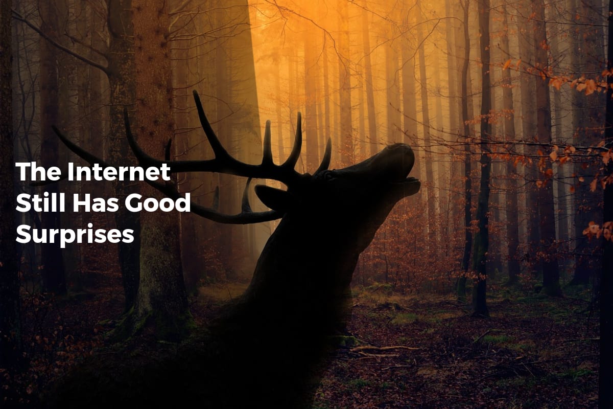 The Internet Still Has Good Surprises - Internet Discoveries