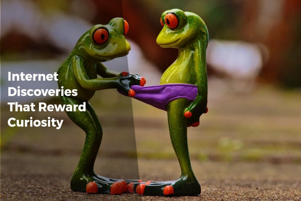 Internet Discoveries That Reward Curiosity - Internet Discoveries