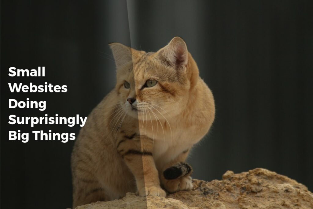 Small Websites Doing Surprisingly Big Things - Internet Discoveries