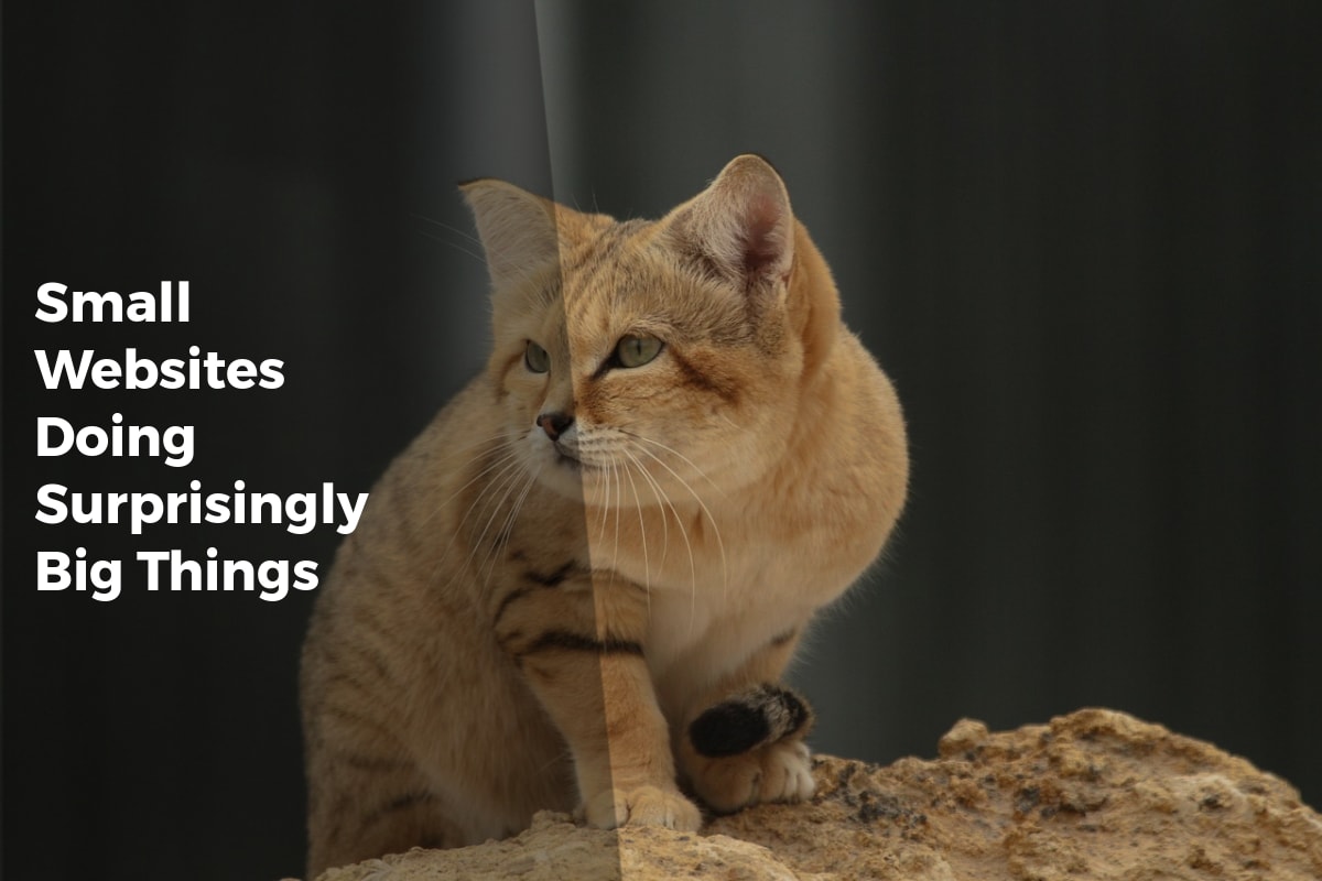Small Websites Doing Surprisingly Big Things - Internet Discoveries